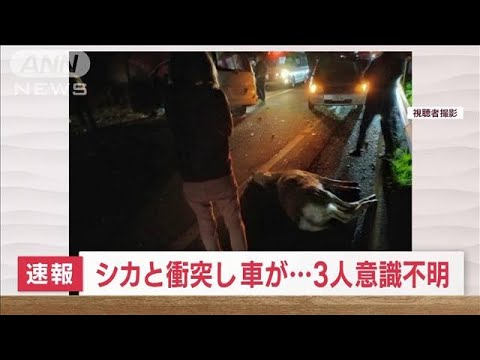 【速報】シカと衝突し車がトラックに　男性3人意識不明の重体　北海道(2022年10月26日)
