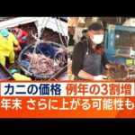 日本の年末年始を直撃…カニ価格“例年の3倍”　アラスカで“ズワイガニ禁漁”も影響(2022年10月27日)
