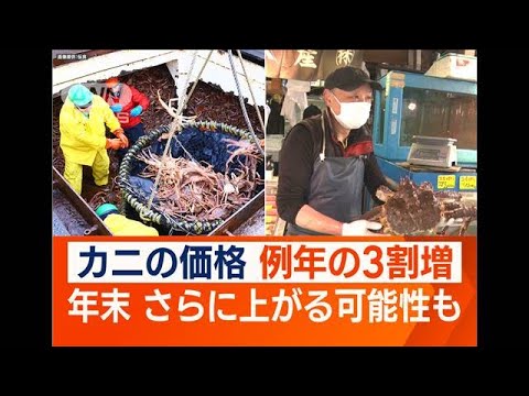 日本の年末年始を直撃…カニ価格“例年の3倍”　アラスカで“ズワイガニ禁漁”も影響(2022年10月27日)