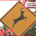 【シカと衝突か】事故で3人死傷 「野生動物との接触」どう防ぐ？