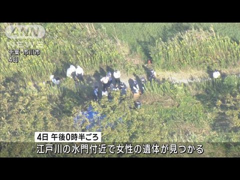 江戸川で発見の遺体　死後数日経過か　不明女児との関連は(2022年10月5日)