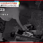 【事件】男が300匹以上40万円相当のメダカ盗む…防犯カメラが犯行捉える 神戸市