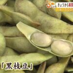 「全然味が違う」「止まらない」丹波篠山の『黒枝豆』販売解禁に長蛇の列（2022年10月5日）