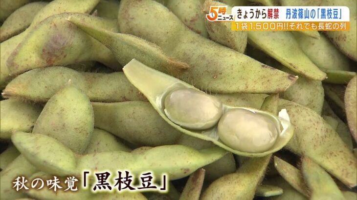 「全然味が違う」「止まらない」丹波篠山の『黒枝豆』販売解禁に長蛇の列（2022年10月5日）