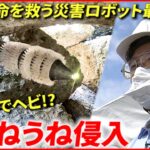 【開発】命を救うロボットを！災害ロボット最前線　宮城・福島　NNNセレクション