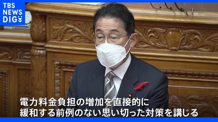 総理、ガス代は？電気代には「前例ない対策」　政府関係者「制度設計難しい」｜TBS NEWS DIG