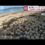 【衝撃！】海に大量にゴルフボール「目を疑う量だった」　沖縄で何が？(2022年10月6日)