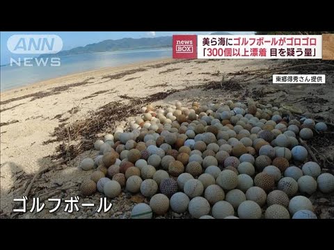 【衝撃！】海に大量にゴルフボール「目を疑う量だった」　沖縄で何が？(2022年10月6日)