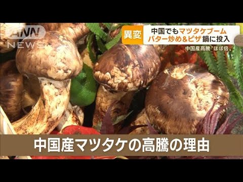 「中国産マツタケ」価格高騰“ほぼ倍”…理由は「気候異常」「ブーム」　今後に影響も(2022年10月7日)