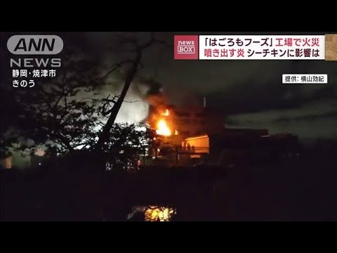 噴き出す真っ赤な炎　「はごろもフーズ」工場で火災(2022年10月7日)