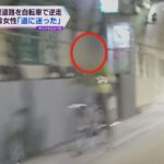阪神高速に自転車に乗った高齢女性が誤って進入「引っ越したばかりで道に迷った」　女性にケガなし