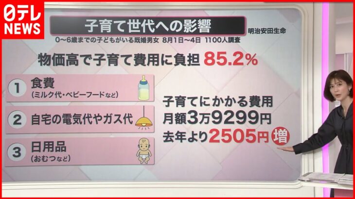 【解説】値上げの波…何を我慢？生活直撃の子育て世帯“新たな制度”