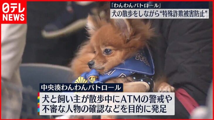 【わんわんパトロール】犬の散歩しながら“特殊詐欺被害防止”「わんわんパトロール」発足　東京・中央区