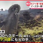 【被災】モアイ像にも被害「修復不可能」…イースター島で山火事が発生