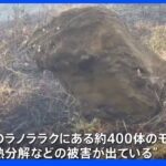 イースター島で火災　モアイ像に「取り返しつかない被害」｜TBS NEWS DIG