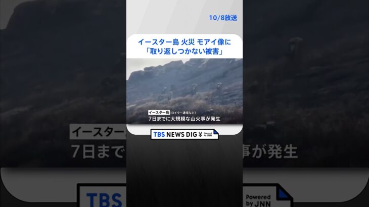 イースター島で火災　モアイ像に「取り返しつかない被害」｜TBS NEWS DIG #shorts