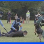 「安全な町はみんなでつくる」警察から学生まで地域一体となりテロ・災害対処訓練　東京・立川市｜TBS NEWS DIG