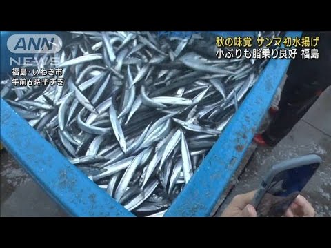 小名浜港でサンマ初水揚げ　例年より高値に　福島(2022年10月10日)