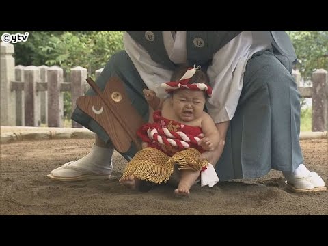 京都・宮津市　伝統行事「赤ちゃん初土俵入」３年ぶりに開催　全国から約２００人の赤ちゃん集まる