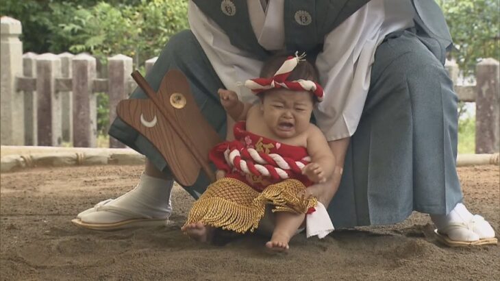 京都・宮津市　伝統行事「赤ちゃん初土俵入」３年ぶりに開催　全国から約２００人の赤ちゃん集まる