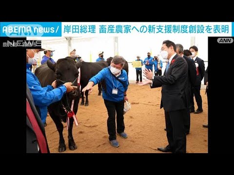 岸田総理「和牛オリンピック」に出席　畜産業支援の新制度表明(2022年10月10日)