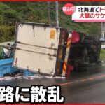 【事故】国道でトラック横転…大量のサケ車道に散乱