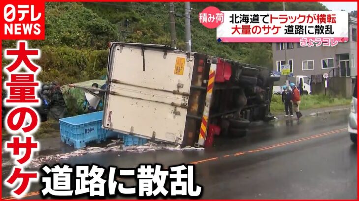 【事故】国道でトラック横転…大量のサケ車道に散乱