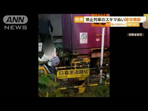 【危険】貨物列車が停止中…スキマぬい“踏切横断”(2022年10月11日)