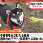 【わんわんパトロール隊】愛犬の散歩しながら安全見守る 東京・足立区