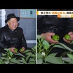 金正恩総書記　農場視察…“満面の笑み”野菜を手に(2022年10月12日)