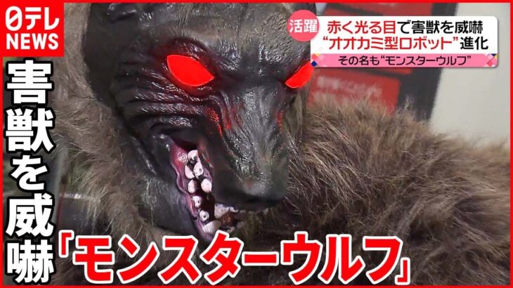 【モンスターウルフ】“赤く光る目”と“鳴き声”で威嚇 害獣対策のオオカミ型ロボットが進化