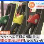 ガソリン補助金「脱炭素の流れに逆行しかねない」財政審で専門家らが指摘｜TBS NEWS DIG