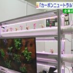 温室効果ガスを実質ゼロに「カーボンニュートラル」の技術紹介する展示会　大阪で開催（2022年10月14日）