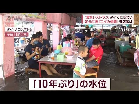 タイ“浸水レストラン”客にぎわうも…大規模洪水　温暖化で被害深刻か(2022年10月14日)
