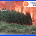 中国・広西チワン族自治区で大規模な山火事　現場は高速道路のそばで中央分離帯の植木にも飛び火｜TBS NEWS DIG