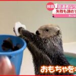 【ラッコ】“新技”を披露 キャッチして…ポイ！ 動きには大切な目的も