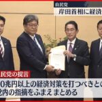 【自民党】岸田首相に“電気料金の負担緩和策など盛り込んだ提言”