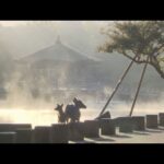 近畿各地で今季一番の冷え込み　滋賀・甲賀市信楽で３・６℃　奈良公園のシカの吐く息も白く
