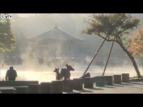 近畿各地で今季一番の冷え込み　滋賀・甲賀市信楽で３・６℃　奈良公園のシカの吐く息も白く