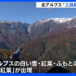 北アルプスに「三段紅葉」の絶景　長野・白馬村｜TBS NEWS DIG