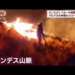 世界各地で火と水の洗礼　山火事・洪水・海面上昇…住民恐怖(2022年10月20日)