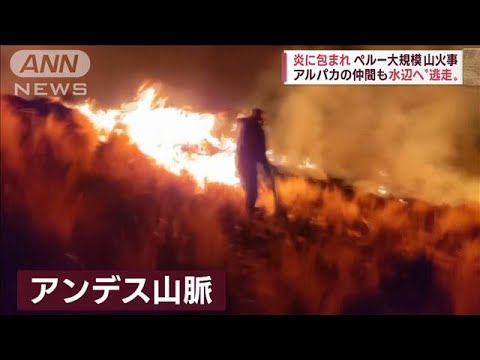 世界各地で火と水の洗礼　山火事・洪水・海面上昇…住民恐怖(2022年10月20日)