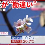 【寒暖差】全国的にこの秋一番の冷え込み 上野公園では桜が…