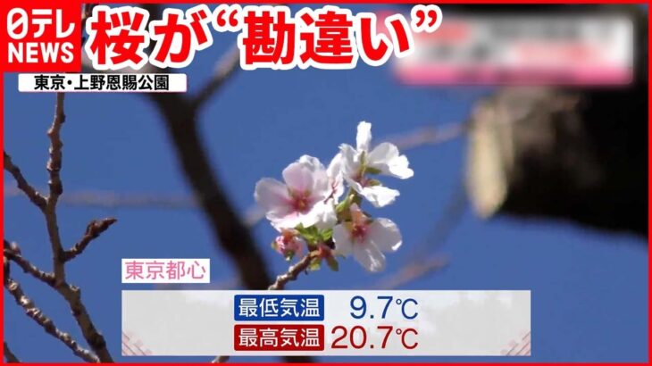 【寒暖差】全国的にこの秋一番の冷え込み 上野公園では桜が…