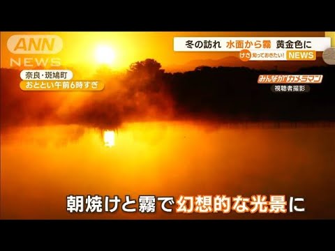 【幻想的光景】朝焼けと霧コラボ…池が“黄金色”に(2022年10月21日)