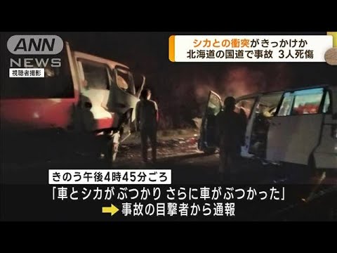 シカとの衝突がきっかけか…車が衝突3人死傷(2022年10月27日)