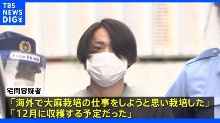 「海外で大麻栽培の仕事をしようと」自宅寝室などで大麻栽培した疑いで27歳男逮捕｜TBS NEWS DIG