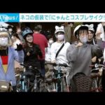 自転車に乗って“にゃんと”駆けめぐる「猫フェス」(2022年10月23日)