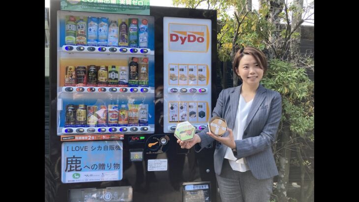 奈良公園に「鹿せんべい」の自販機を設置　販売時間外に違う食べ物を与える人が多く、鹿が病気に