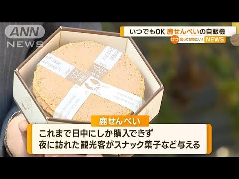 奈良公園に「鹿せんべい」自販機設置　“健康被害”解決の切り札に(2022年10月25日)
